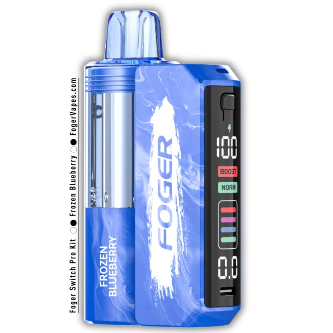 Frozen Blueberry – Foger Switch Pro Kit 30K Puffs - Image 2